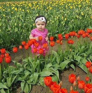 Meet your Posher, Jimmy